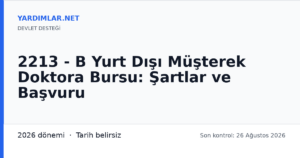 2213 - B Yurt Dışı Müşterek Doktora Bursu: Şartlar ve Başvuru