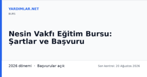 Nesin Vakfı Eğitim Bursu: Şartlar ve Başvuru