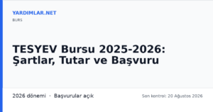 TESYEV Bursu 2025-2026: Şartlar, Tutar ve Başvuru