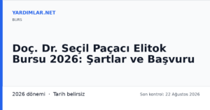 Doç. Dr. Seçil Paçacı Elitok Bursu 2026: Şartlar ve Başvuru
