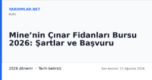 Mine’nin Çınar Fidanları Bursu 2026: Şartlar ve Başvuru